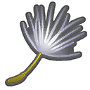 Dandelion Tuft